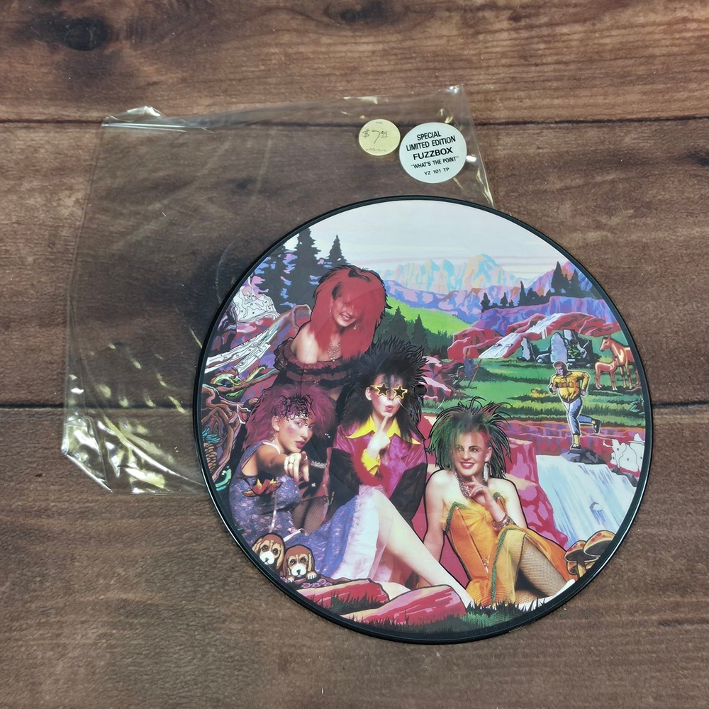 Fuzzbox Vinyl Record 12" Multi-Color Good What's The Point Picture Disc YZ101TP